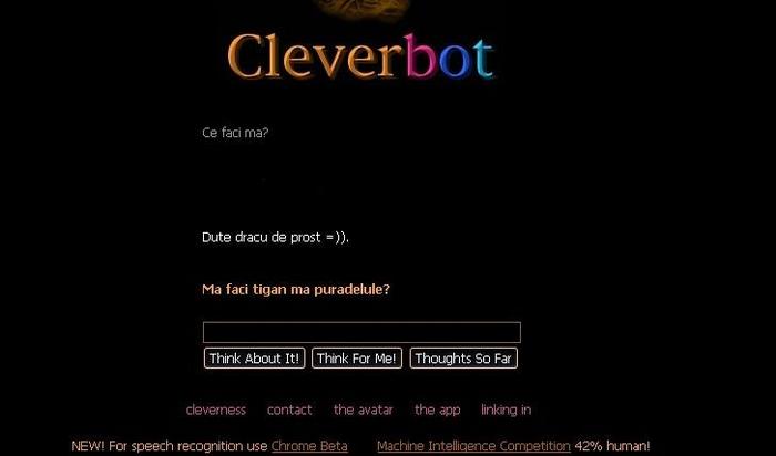 CleverBot Tiganu