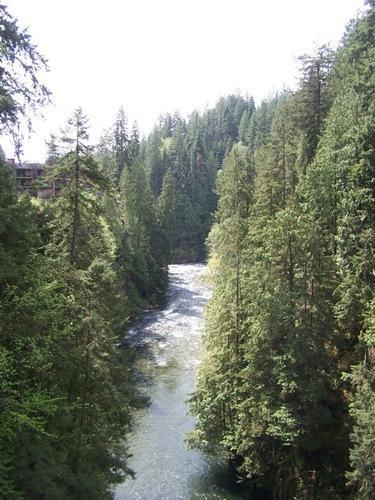 In Vancouver. Capilano Canyon - sweet