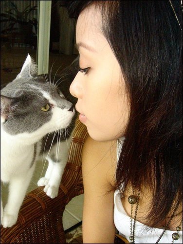 kiss - my cat