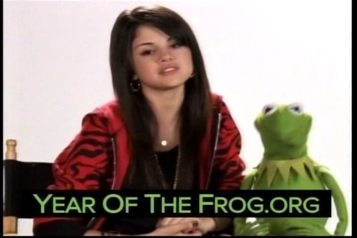 Year of the Frog Promo (10)