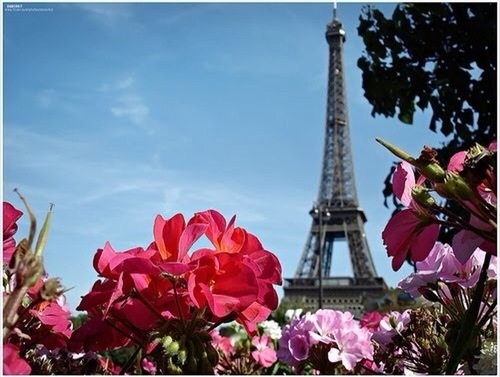 beautiful-eiffel-tour-eiffel-tower-europe.paris-france-place-Favim.com-44716