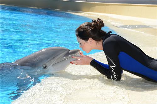 2012 5 15 2012 Dolphin Trainer For A Day 31