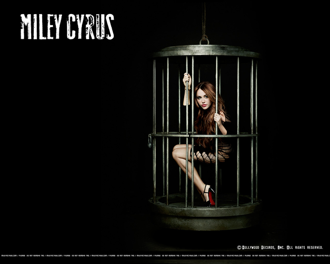 002 - Cant Be Tamed Wallpapers