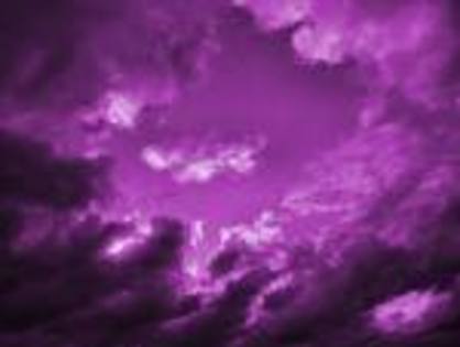 lovve - I love purple