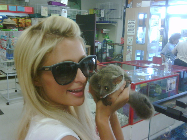 With Sammy the Bush Baby