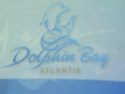 About to go swimming with the Dolphins