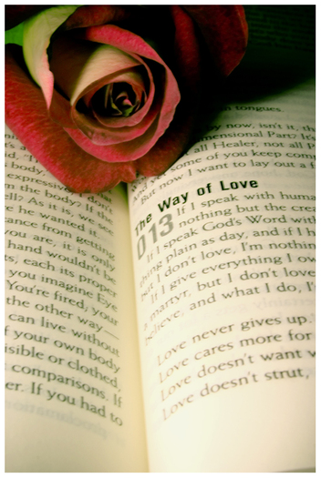 The_Way_of_Love_by_christians