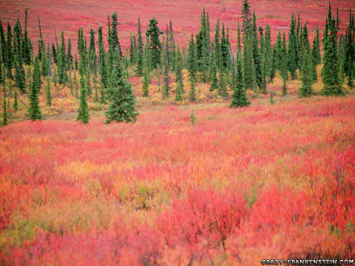 alaska-autumn-wallpapers - Most Beautiful Landscapes