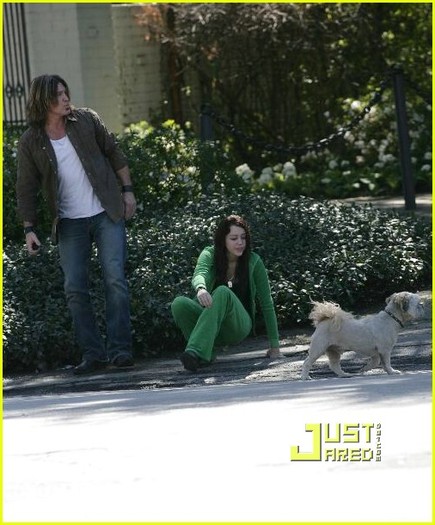 miley-cyrus-stray-dog-16