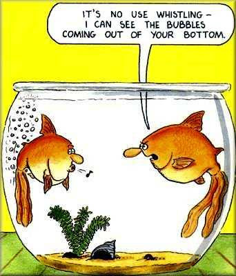 whistling_fish_cartoon_funny[1] - Funny