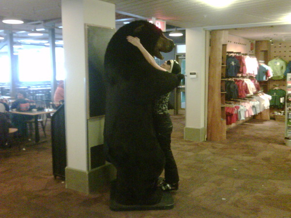 Big Bear Hug - big bear hug