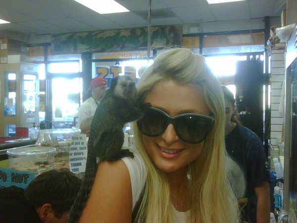 At Pet Kingdom USA with my lil buddy Deano - Sunglasses