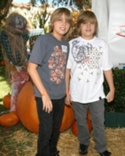 (%) - Dylan  Sprouse  and  Cole  Sprouse
