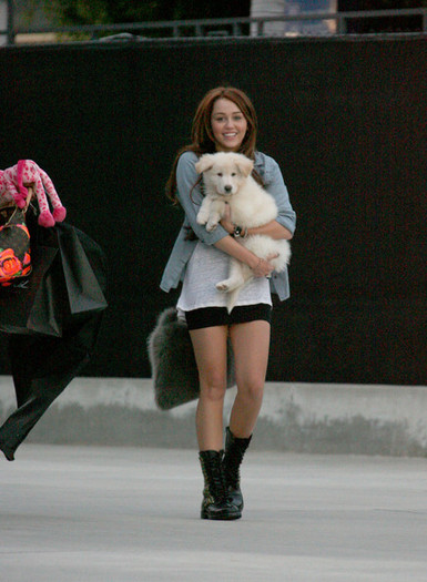 Miley+s+new+fluffy+puppy+yTWCb4v38gfl - Album for Miley real