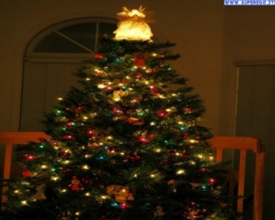 alberi_di_natale_13