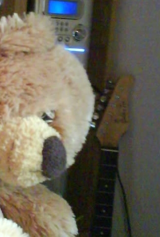 Beary with guitar