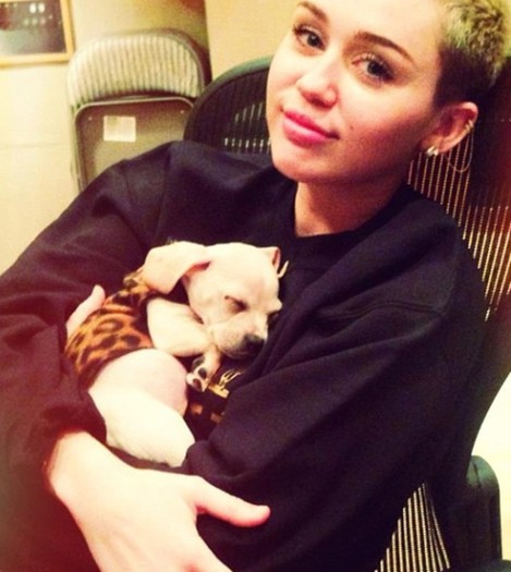  - Miley Cyrus