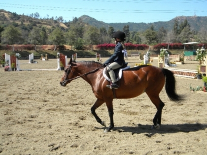 Horse Show98