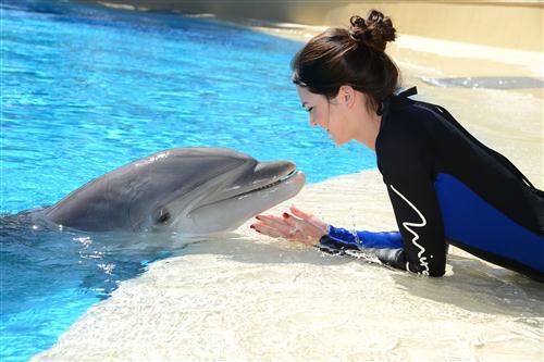 2012 5 15 2012 Dolphin Trainer For A Day 32