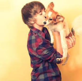 dog5 - Justin Bieber Dog