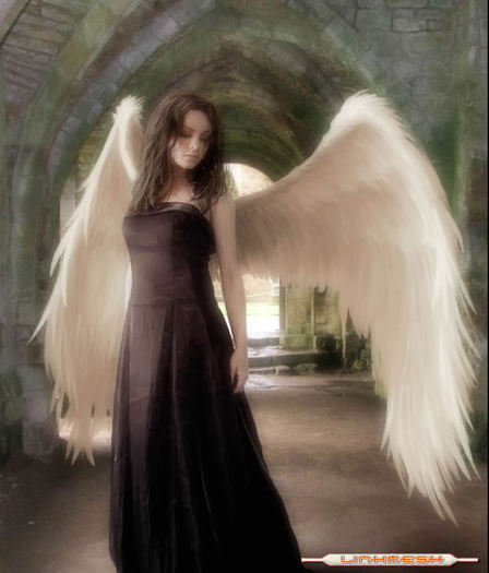 angel - 0000 Angels 0000