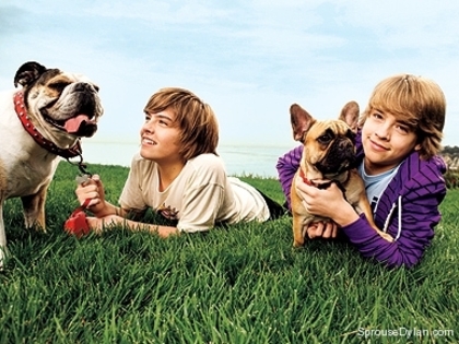 Dylan-and-Cole-Sprouse-dogs
