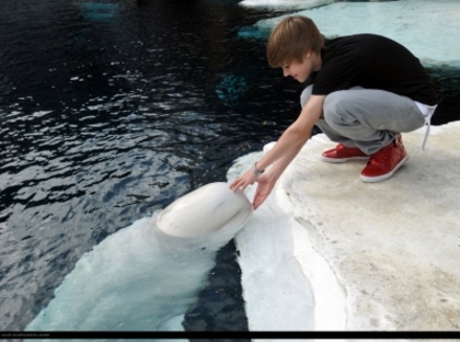 Justin Bieber in Seaworld (3)