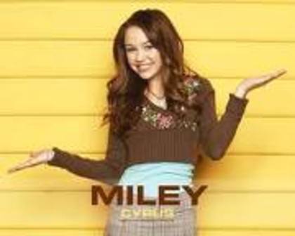 miley cyrus 2 351 - 0-Miley-0