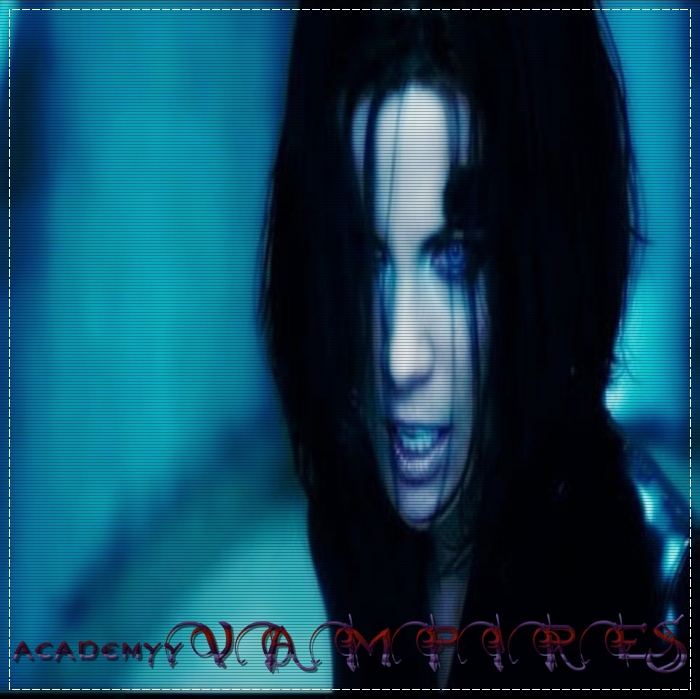 - . ĄƔ - academyyVAMPIIRES . -