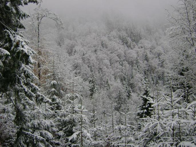 WiNtEr (2) - Holiday in Romania 2