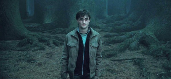 Harry_Potter_and_the_Deathly_Hallows_Part_2_1300445020_2_2011