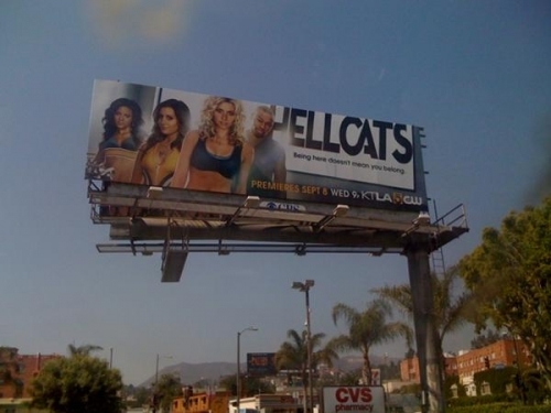  - Billboards