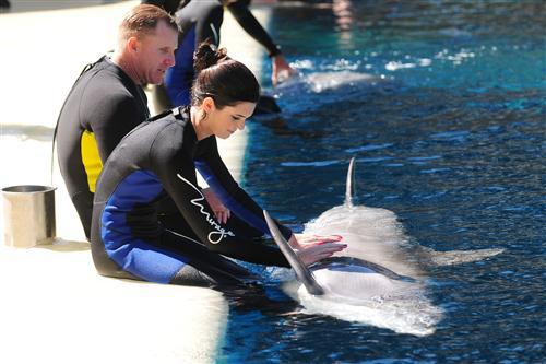 2012 5 15 2012 Dolphin Trainer For A Day 19