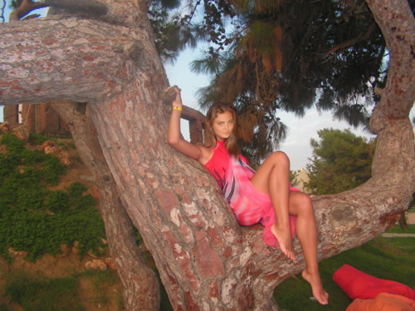 in the tree