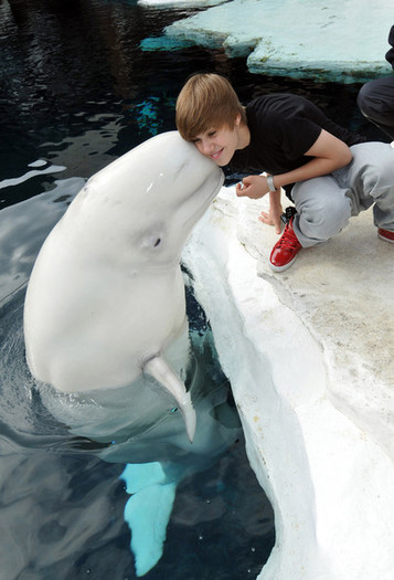  - Justin Visits SeaWorld San Diego
