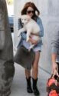 miley-cyrus-puppy-new%20(4)