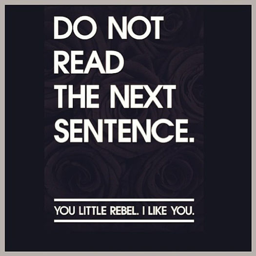 Photo Rebel   #culture #vanessahudgens #typography