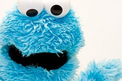 380993-7-1292948887315_large - Cookie Monster
