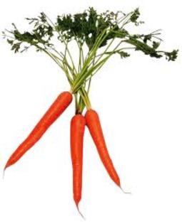 images (1) - carrot