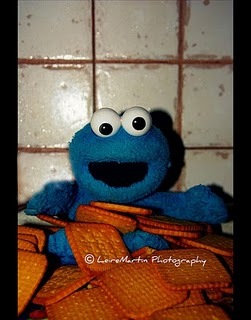 3893505137_97a313cacf_z_large - Cookie Monster