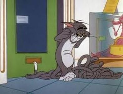 Tom si Jerry - Tom si Jerry