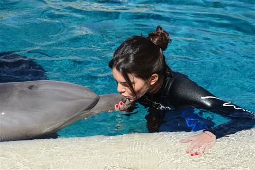 2012 5 15 2012 Dolphin Trainer For A Day 46