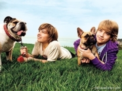 ][[[[[[[[[[[[[[[ - Dylan  Sprouse  and  Cole  Sprouse