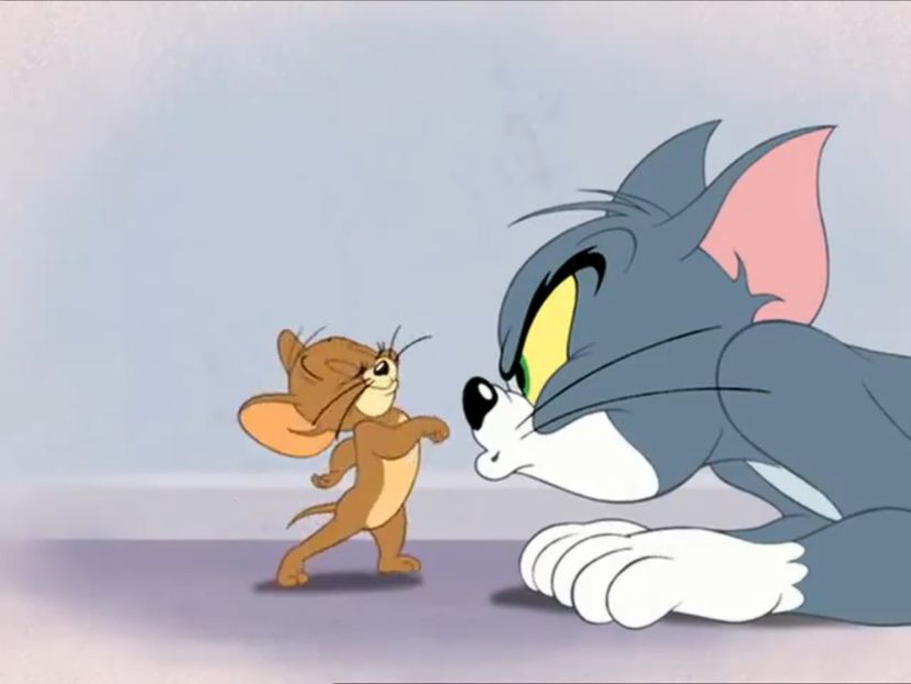 Tom si Jerry