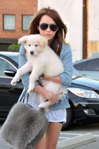 Miley+Cyrus+holds+fluffy+white+puppy+while+EhVC6H-9pryl - West Hollywood