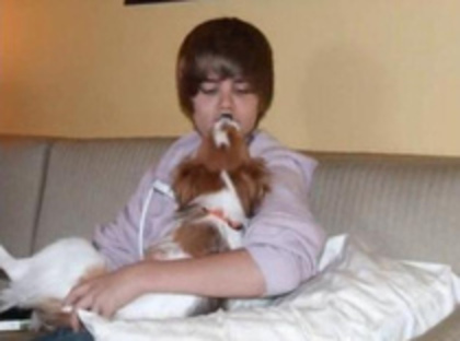 dog2 - Justin Bieber Dog