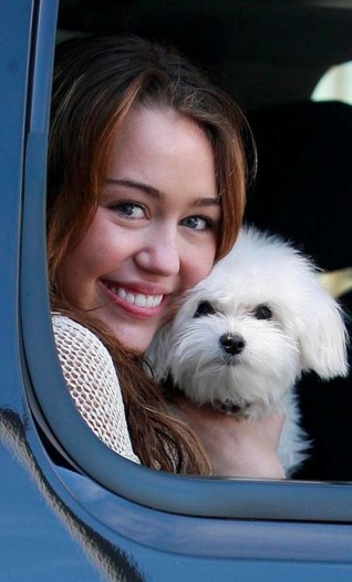 miley-cyrus-and-pooch-photos - x miley iubeste animalele