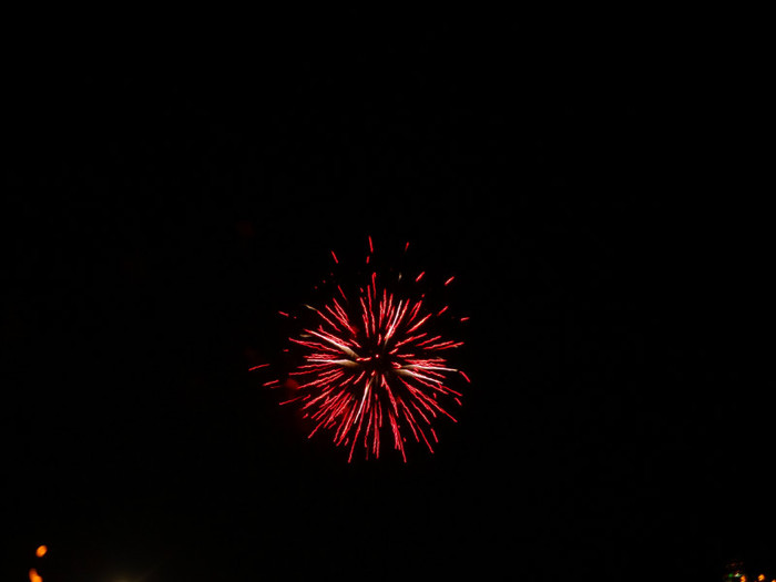 Balloon Festival and Fireworks (16)