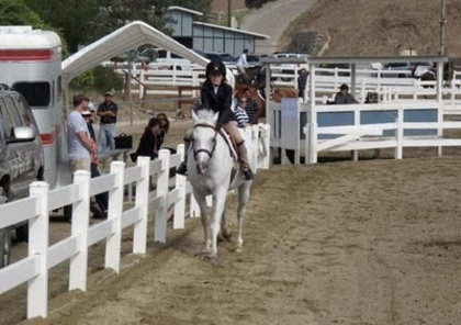 2010 Horse Show (14)