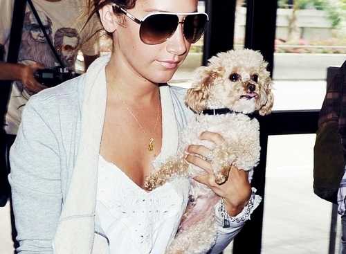 with Maui :]